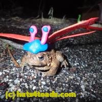/home//u458753944/public_html/sourcegallery//////Roxborough Toad Detour/2013-2019/2018/2018-02-21/P2210054.JPG